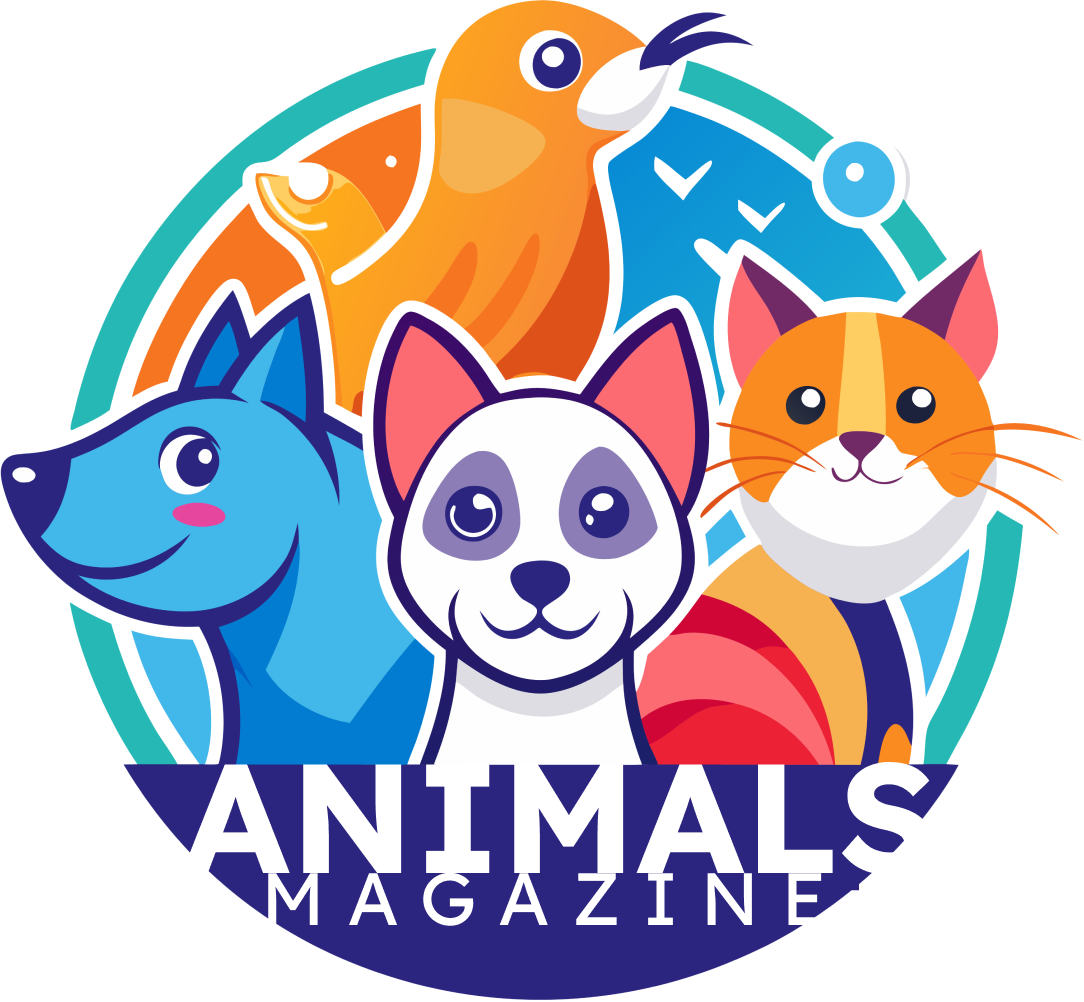 goldenhourmagazine.com